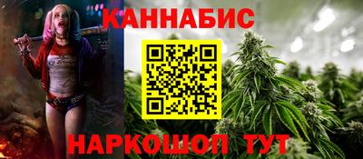 гидра Заводоуковск