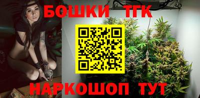 гидра Заводоуковск