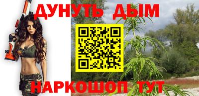 гидра Заводоуковск