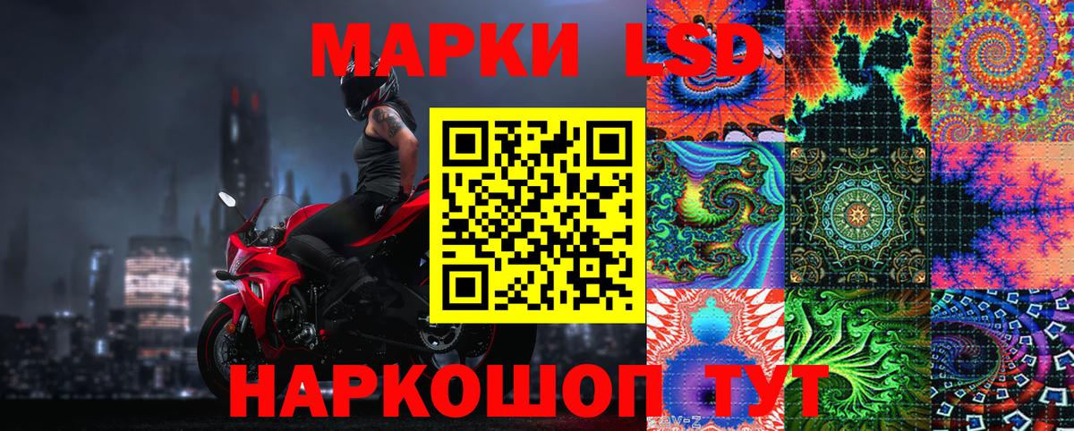 Марки 25I-NBOMe 1,5мг Лесной