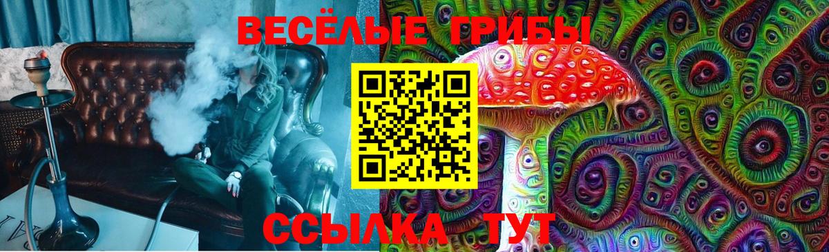 Псилоцибиновые грибы Cubensis Лесной