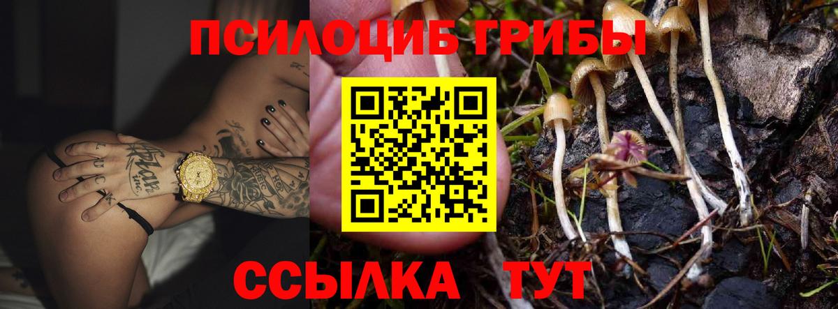 Лесной  Псилоцибиновые грибы MAGIC MUSHROOMS  Вход с VPN  Псилоцибиновые грибы Cubensis 